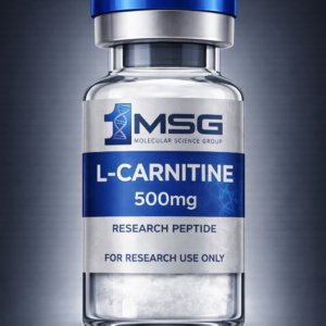 L-Carnitine mitochondrial energy support compound by 1MSG